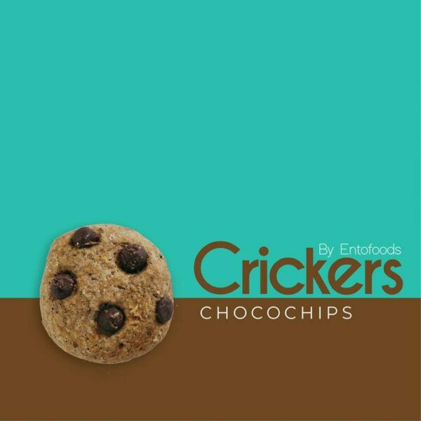 crickers-galletas-eco-chocolate-grillos