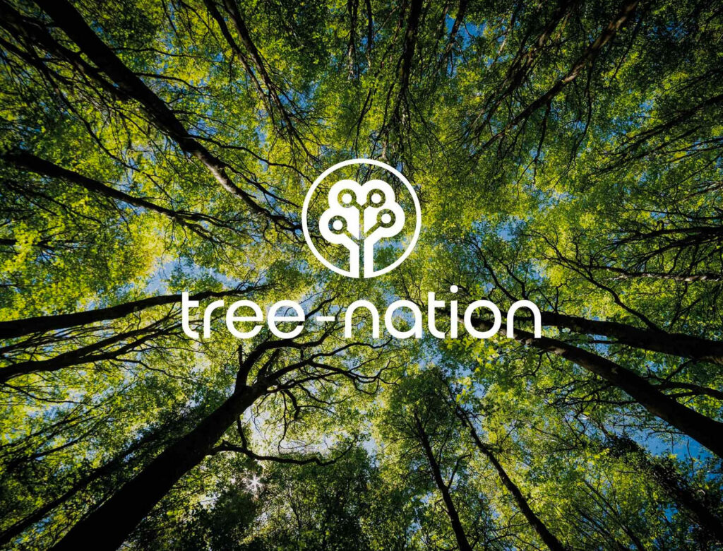 ejemplos-de-marcas-con-bosque-en-tree-nation